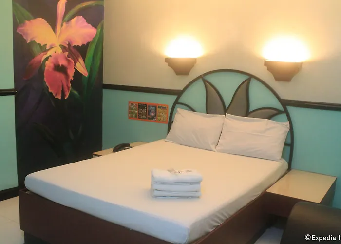 Hotel Halina Drive In Hotel-sta Mesa 2*